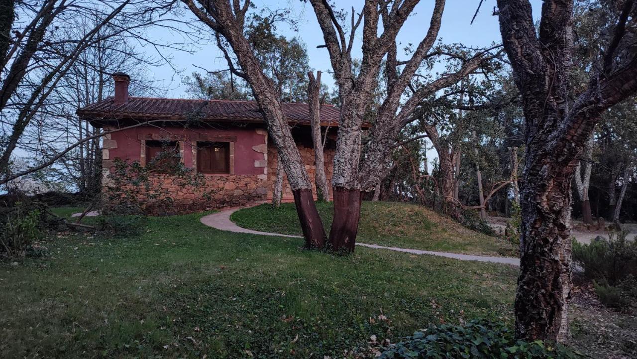 Apartamentos Rurales La Oropendola 하라이스 데 라 베라 외부 사진