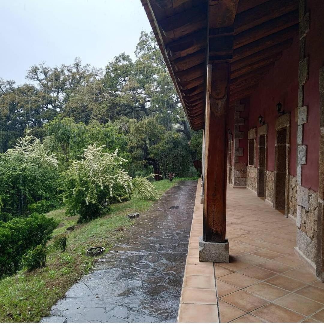 Apartamentos Rurales La Oropendola 하라이스 데 라 베라 외부 사진