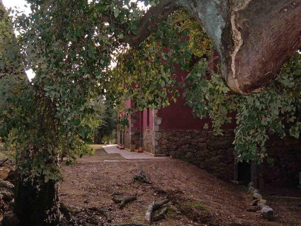 Apartamentos Rurales La Oropendola 하라이스 데 라 베라 외부 사진
